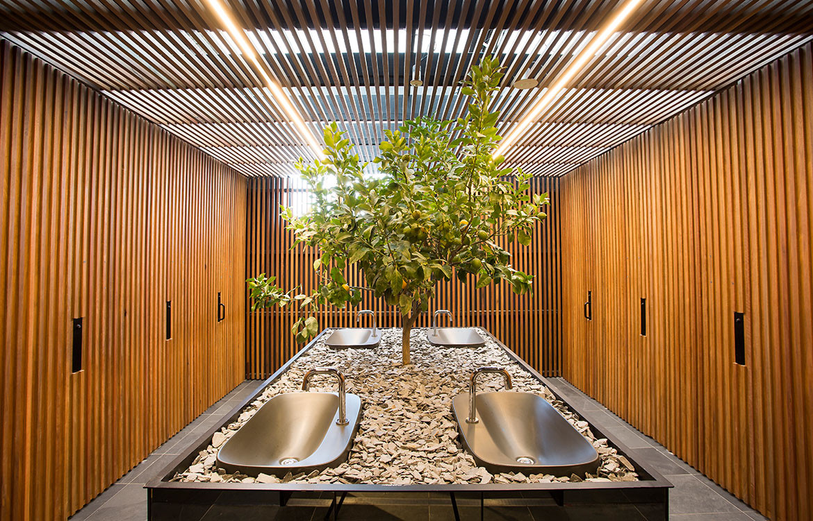 Caroma On Collins Pays Homage To Native Flora