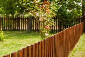 Timber fence ideas for a modern backyard