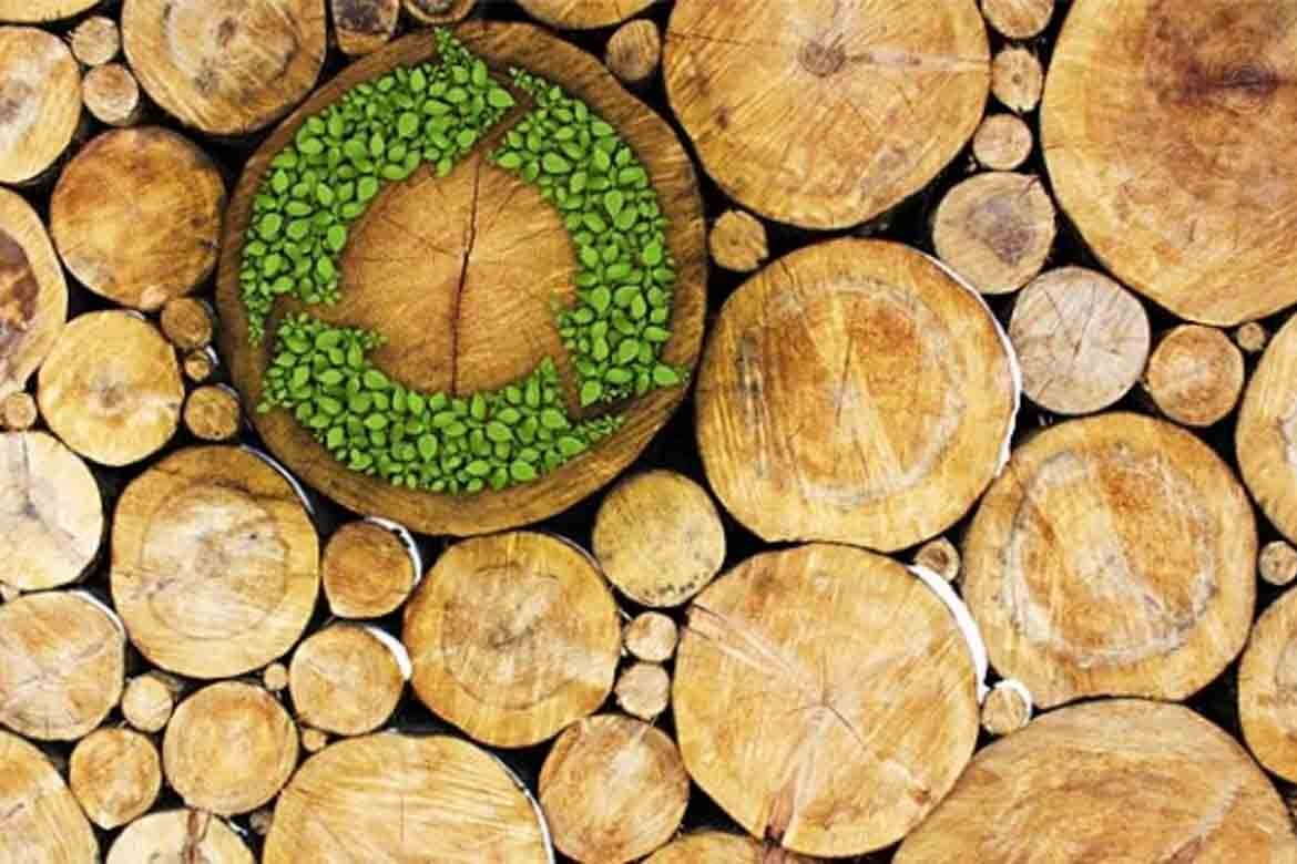 timber sustainable forestry buy ideas reclaimed recycled