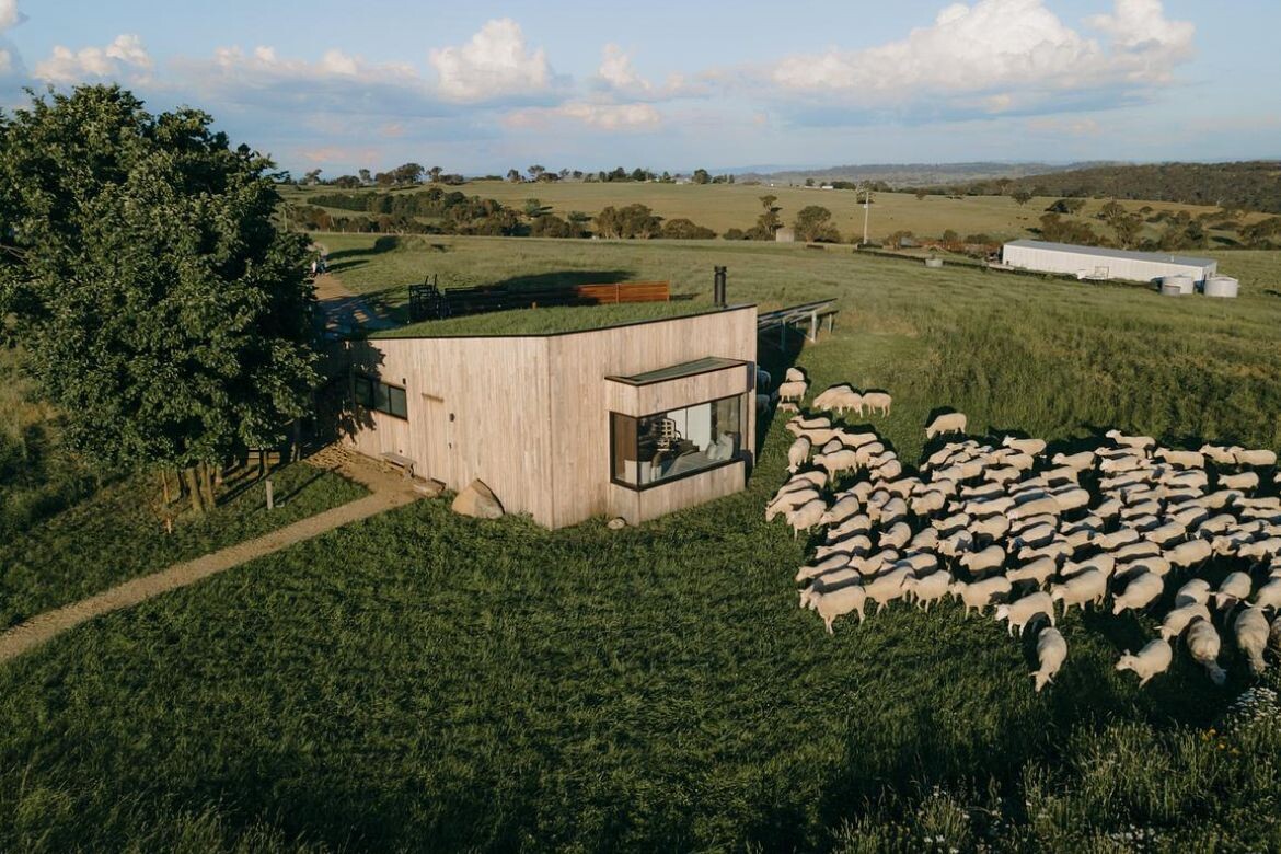 An off-grid farmer’s hut with a green roof will connect you to nature