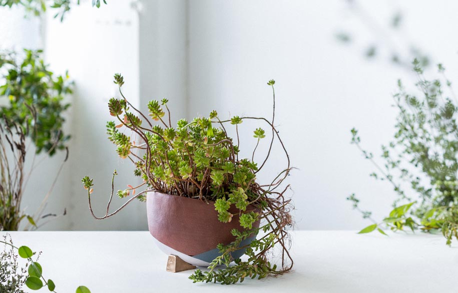 Designing nature with the Lazy Season Pot
