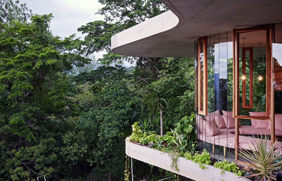 Planchonella House celebrates its tropical rainforest surrounds