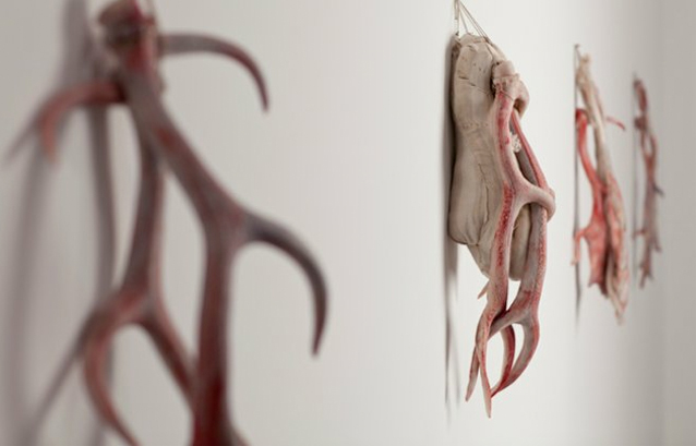 We Are All Flesh opens at ACCA