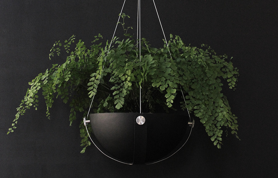 Alex Buckman: Behind the Arbor Planter