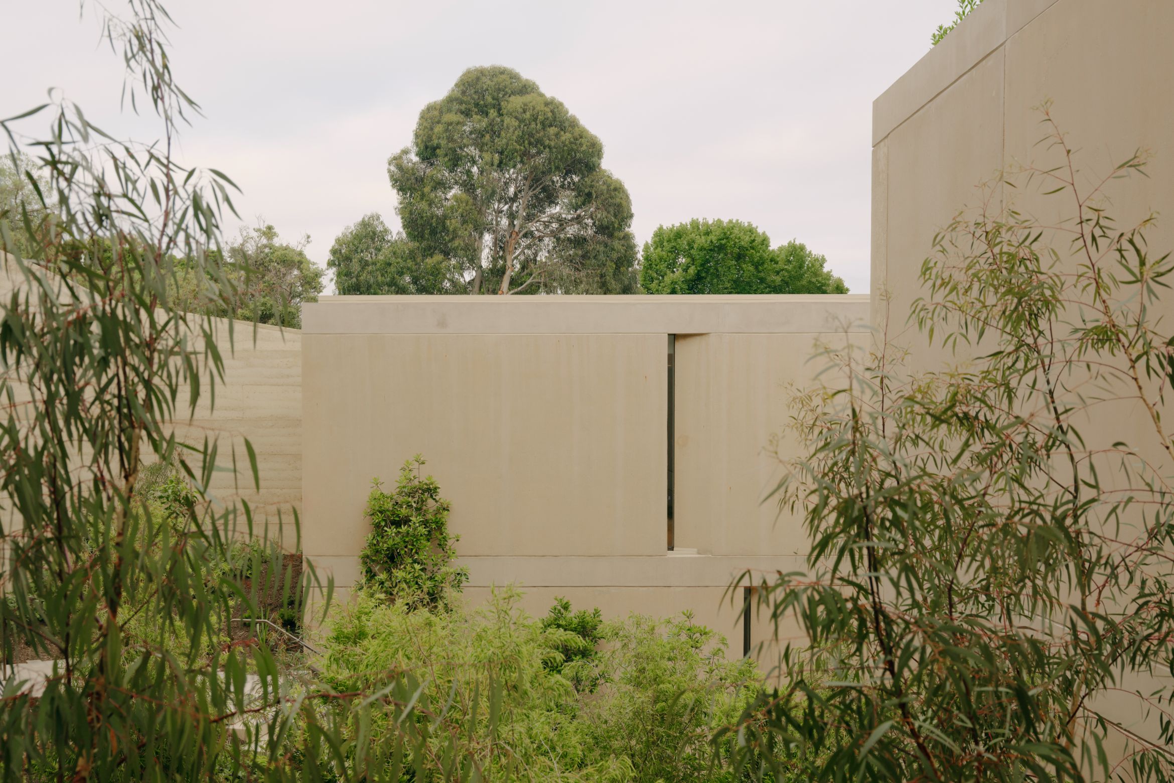 Carr in conversation with the landscape
