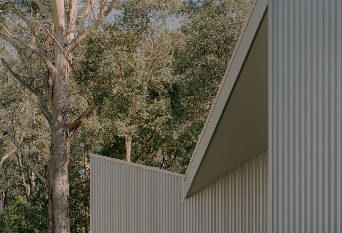 Ironbark House by Klaus Carson