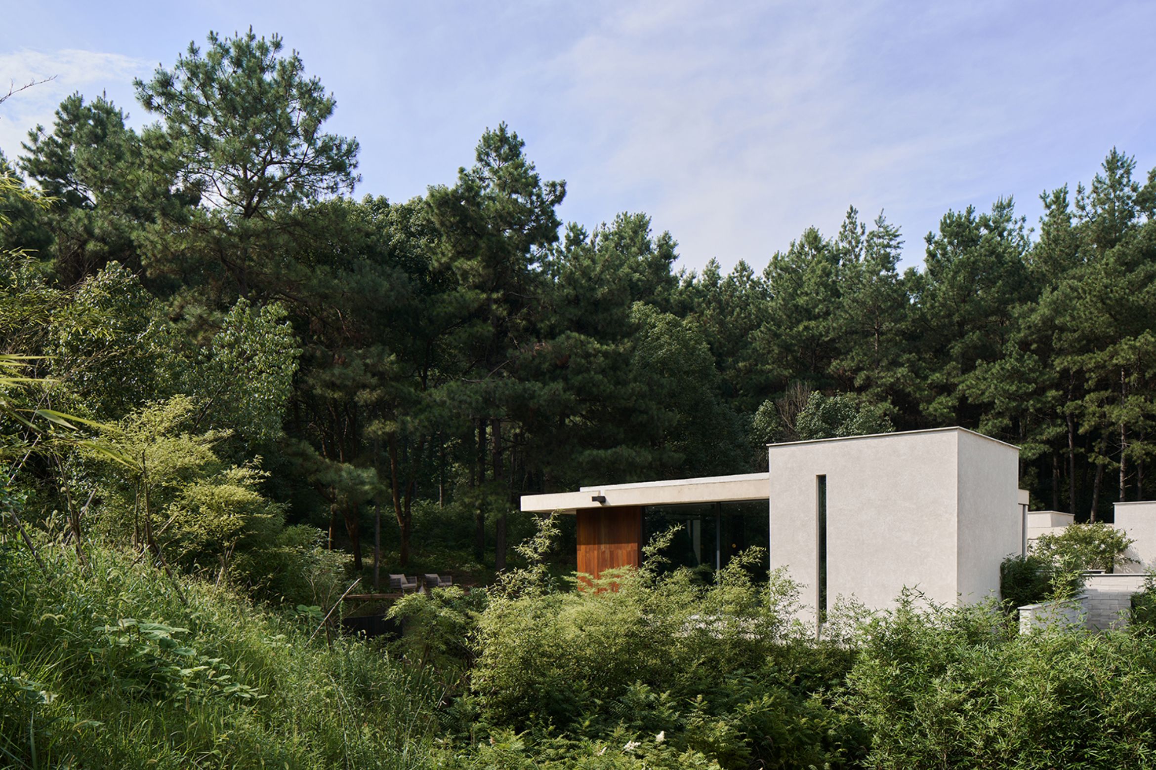Anadu Pine Villa is framed by forest