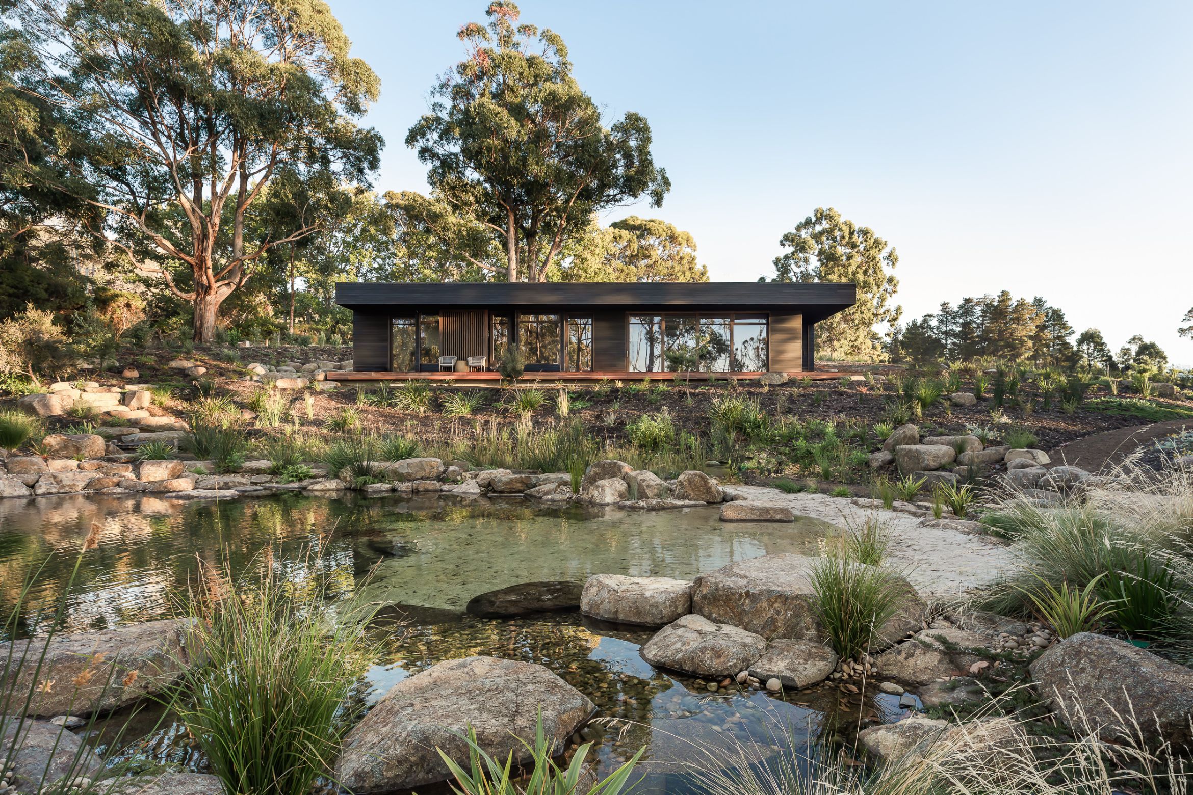 Echoes of Japan in the Tasmanian bush