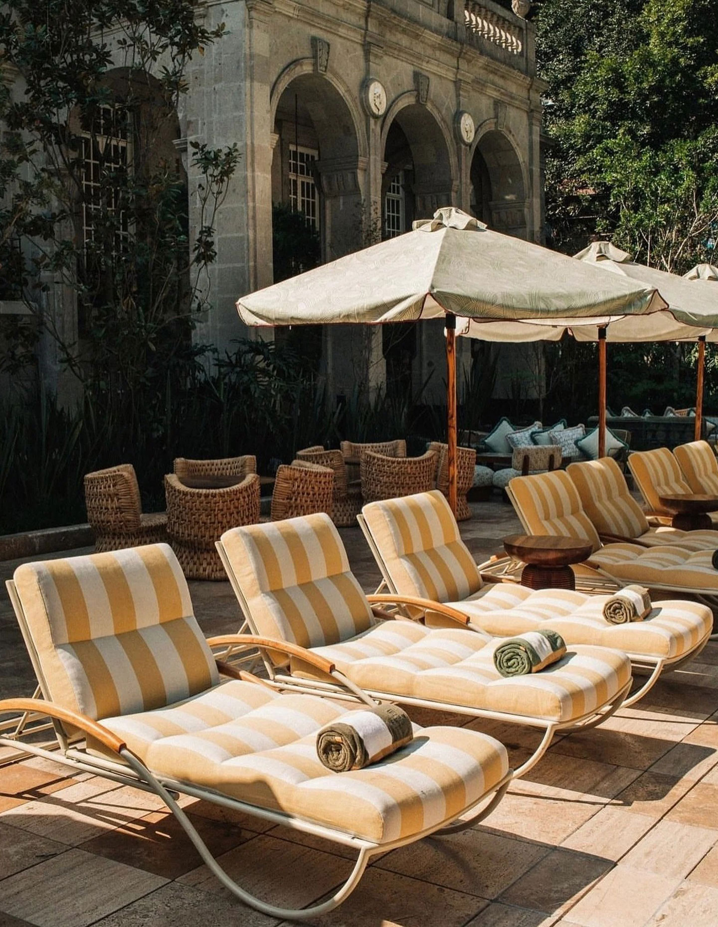 Boyac launches Perennials on Sydney Harbour