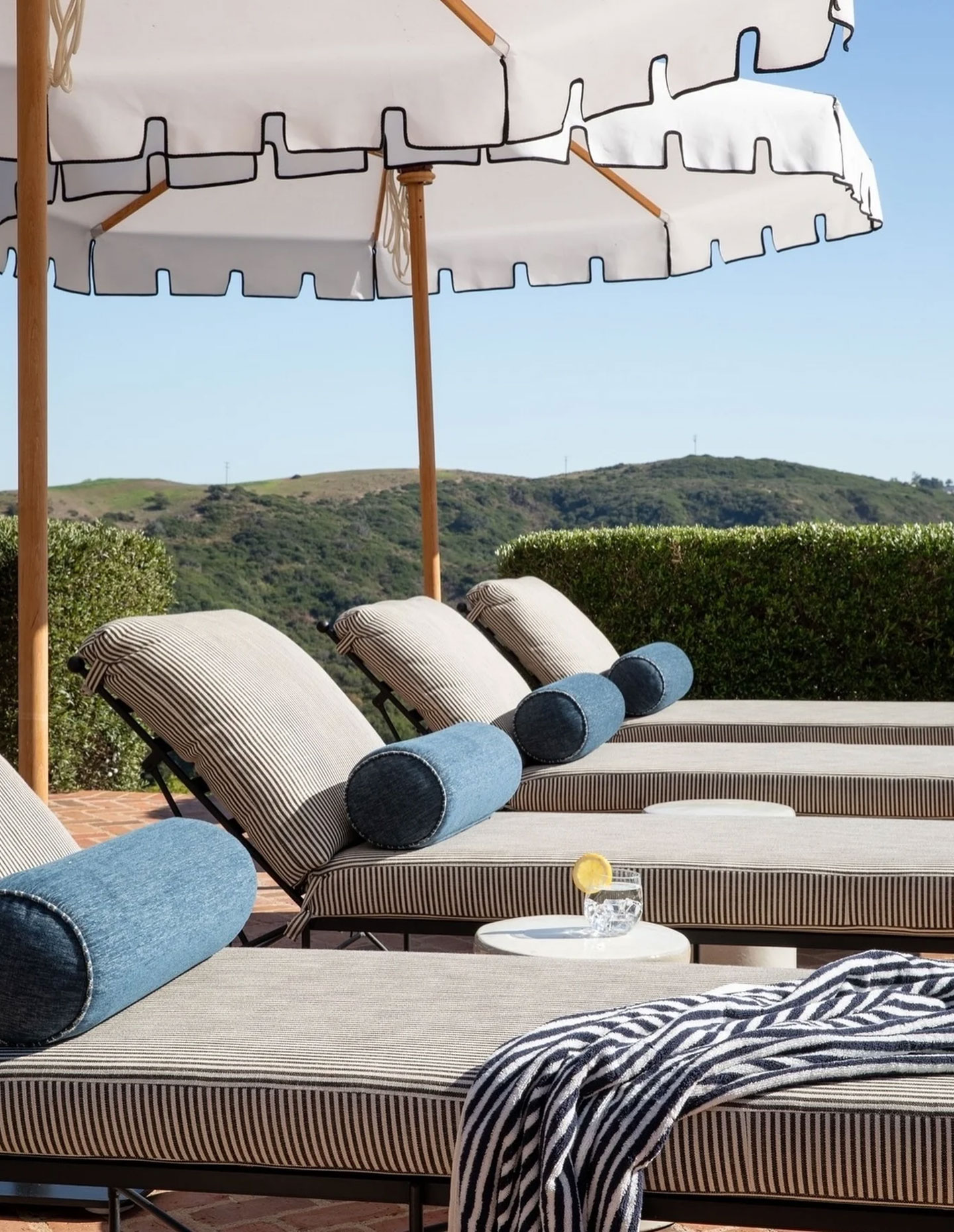 Boyac launches Perennials on Sydney Harbour