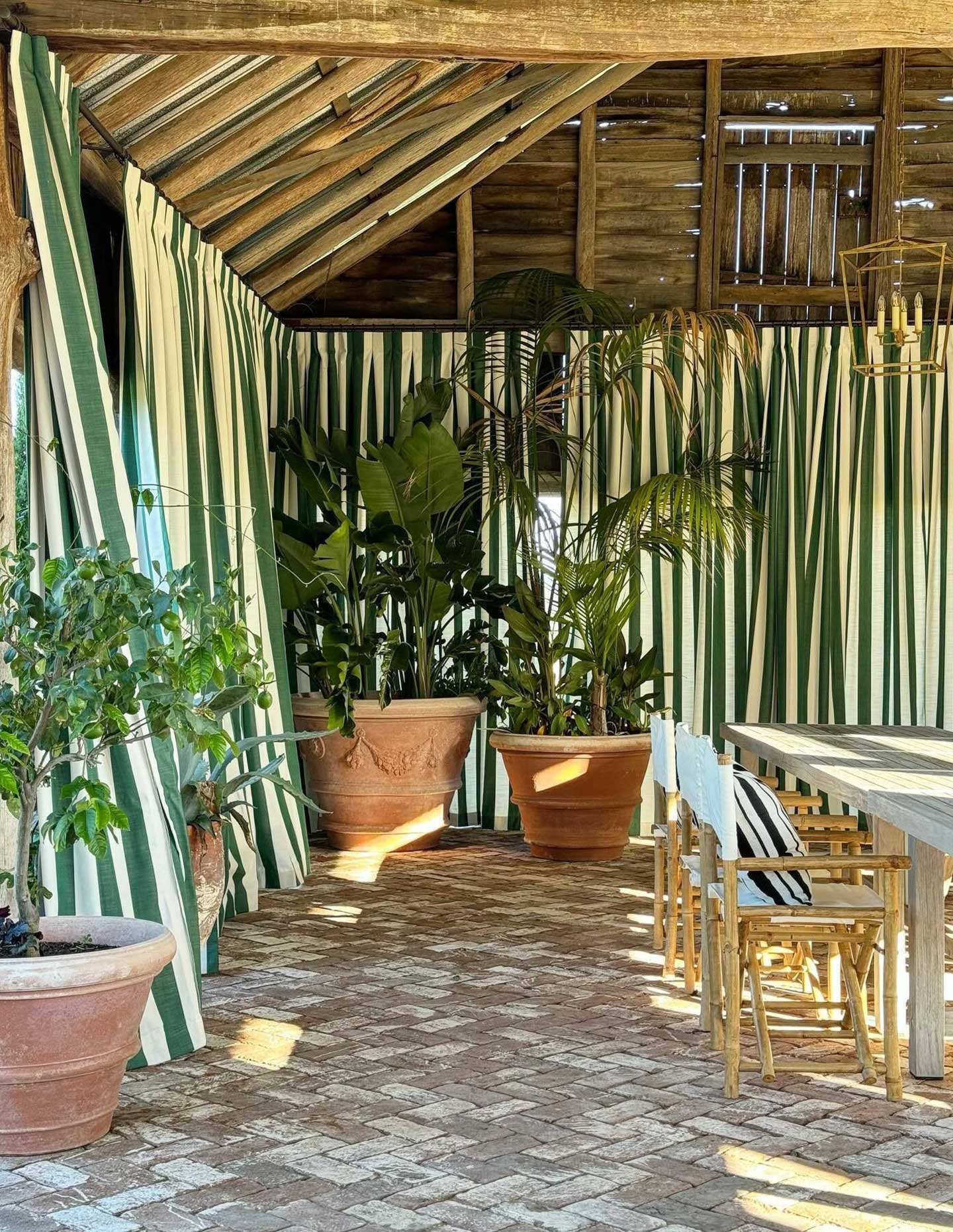 Boyac launches Perennials on Sydney Harbour