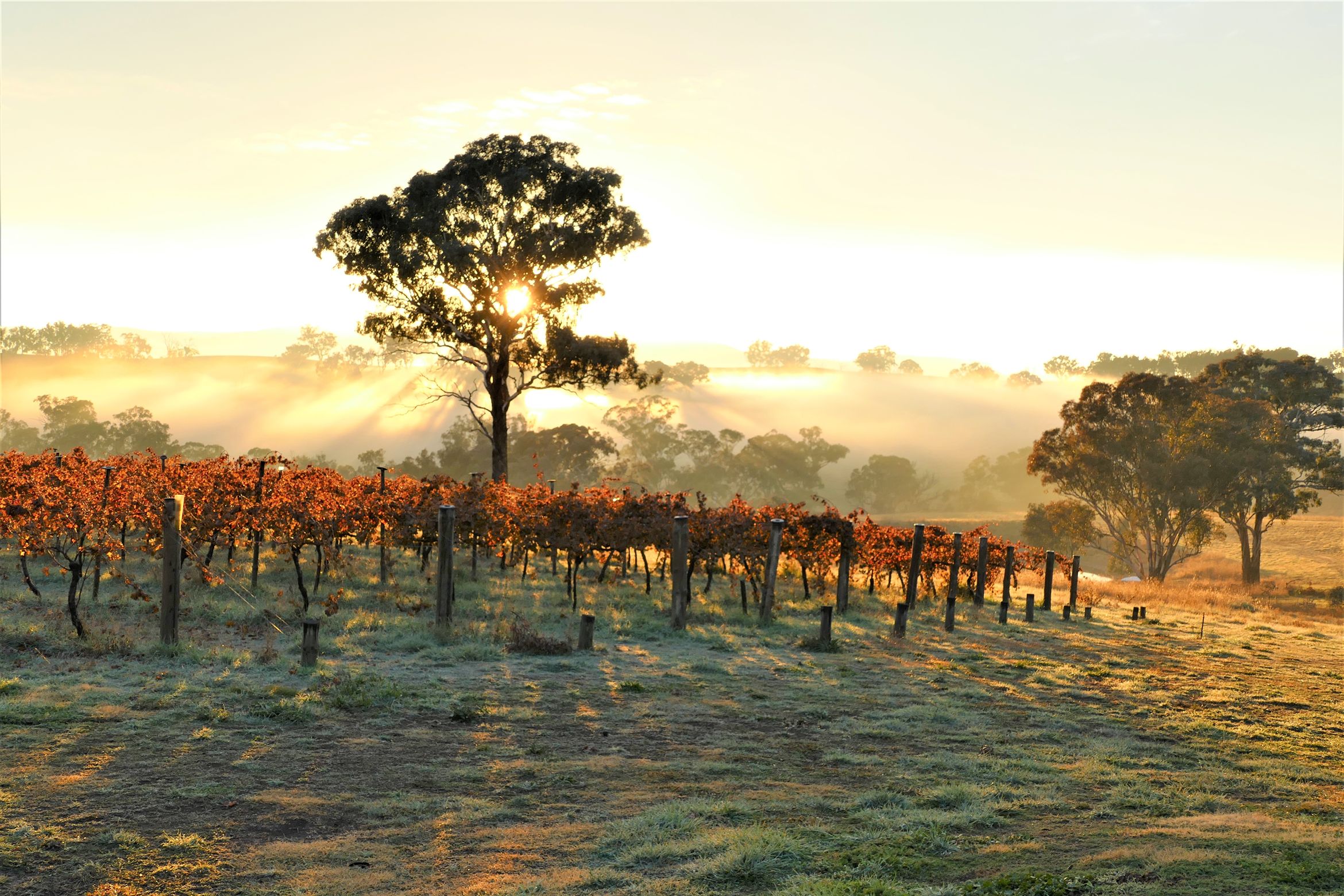 Bathurst is fast becoming a hub for regional design and hospitality