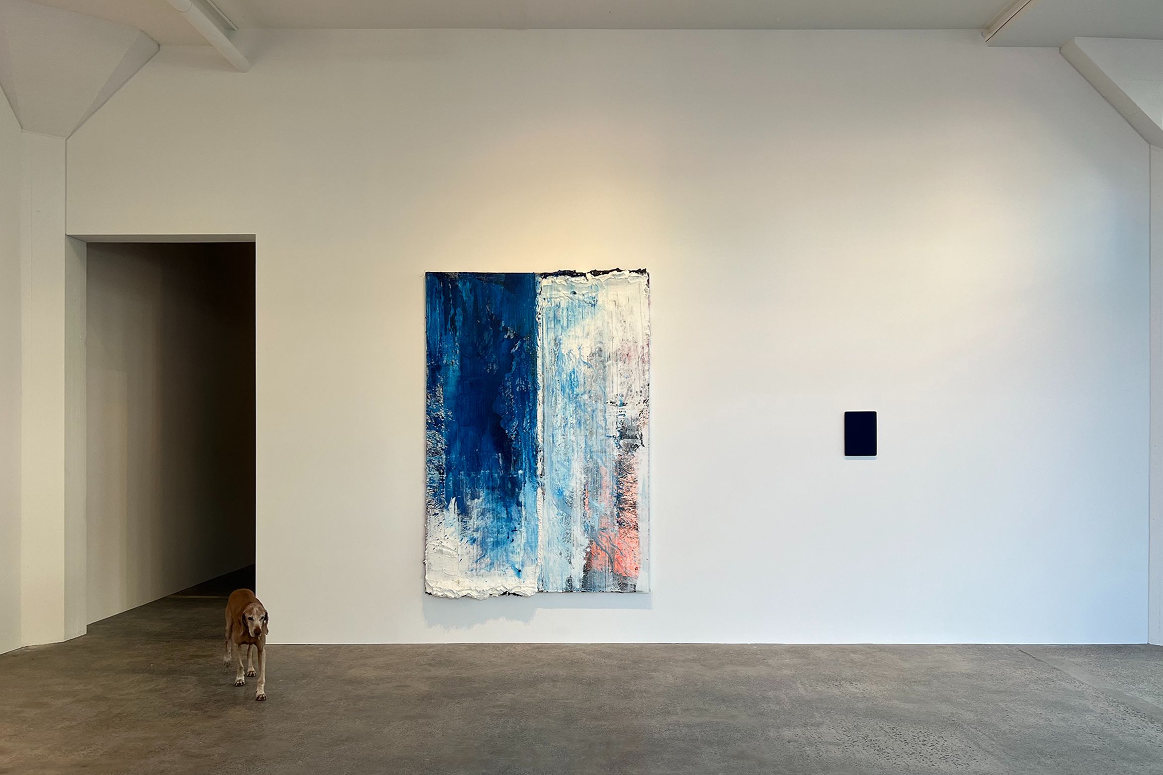 Fox Jensen, ever evolving