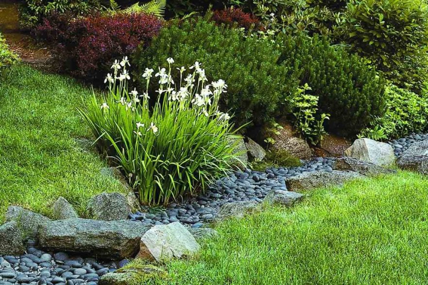 natural drainage in garden with pebble river and lilies