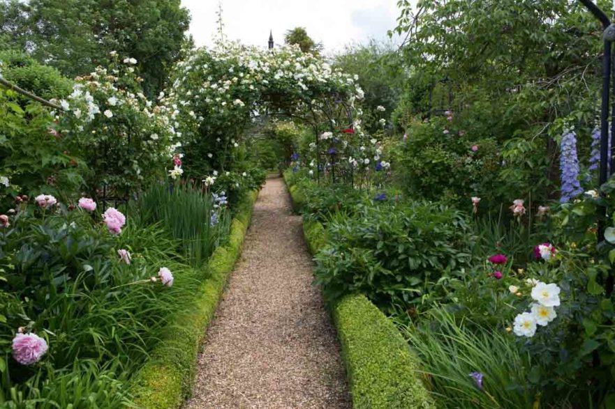 garden path with overgrown flowers