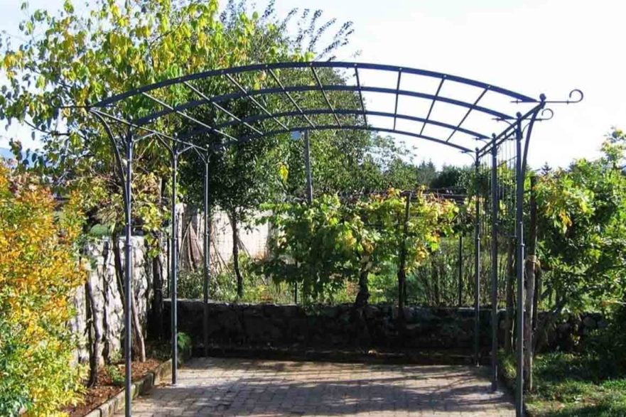 metal pergola over garden shade plants vine climb support garden ideas