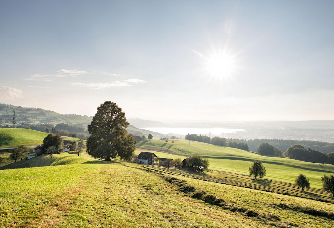 Sunlit farmlands