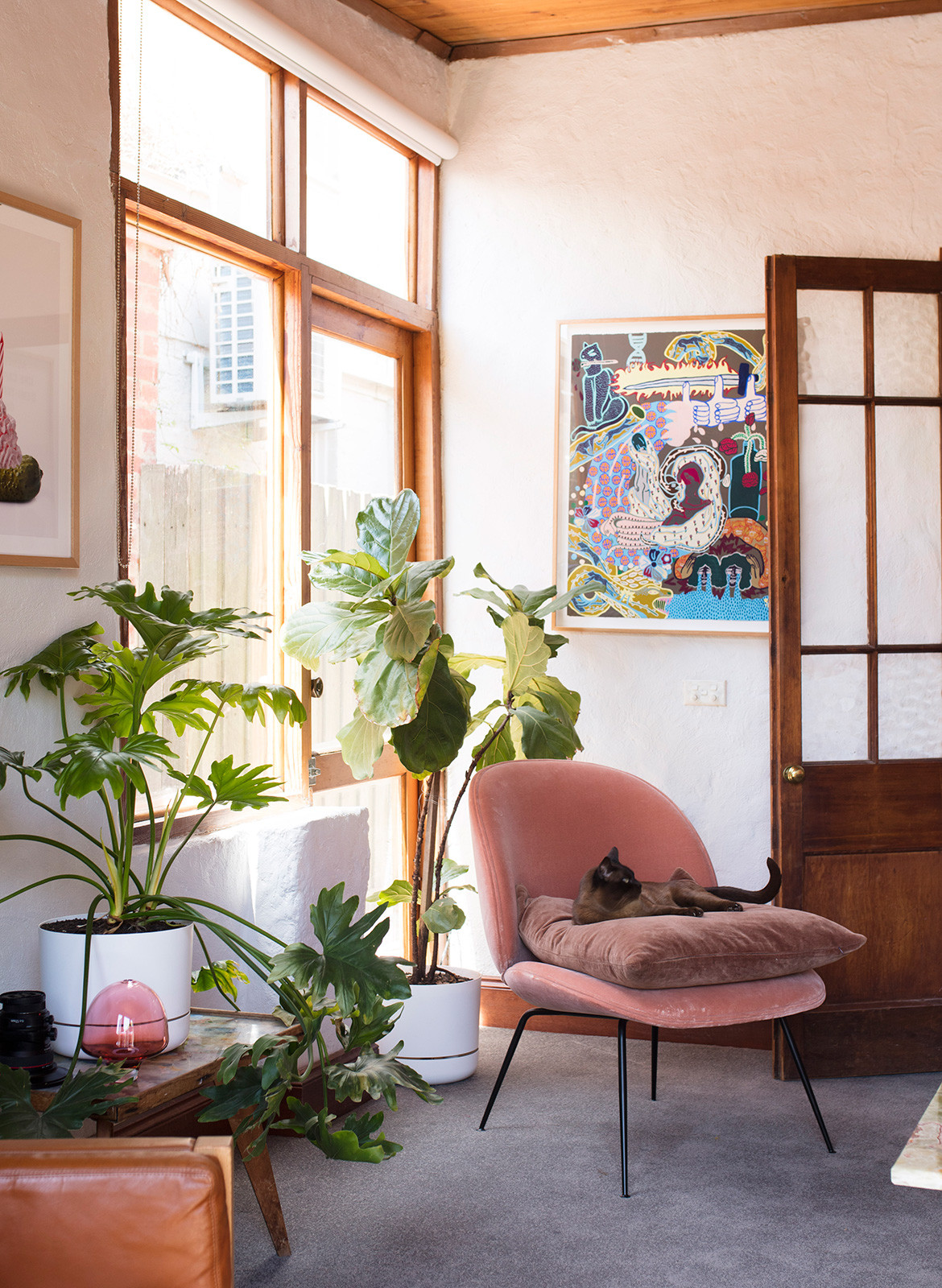 Anna Ross Kester Black CC Benjamin Hosking living room details