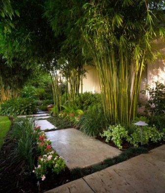 Asian landscaping design ideas bamboo