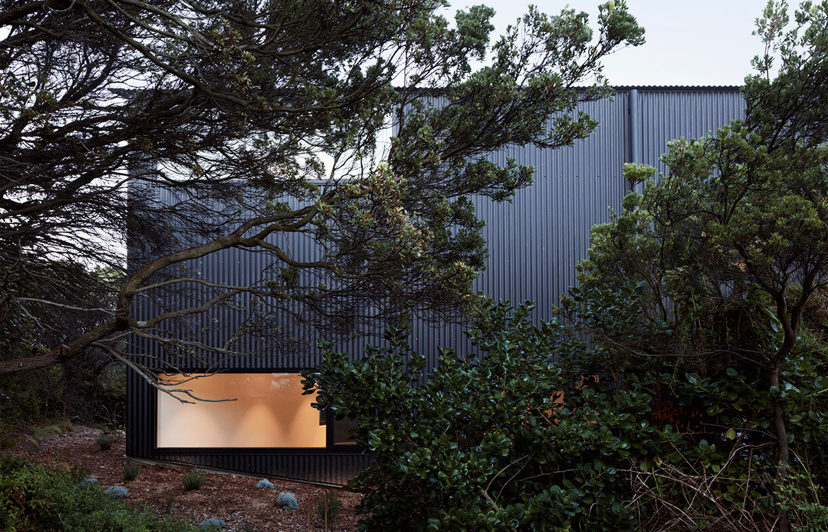 Barwon Heads House Lovell Burton Architecture CC Rory Gardiner landscape