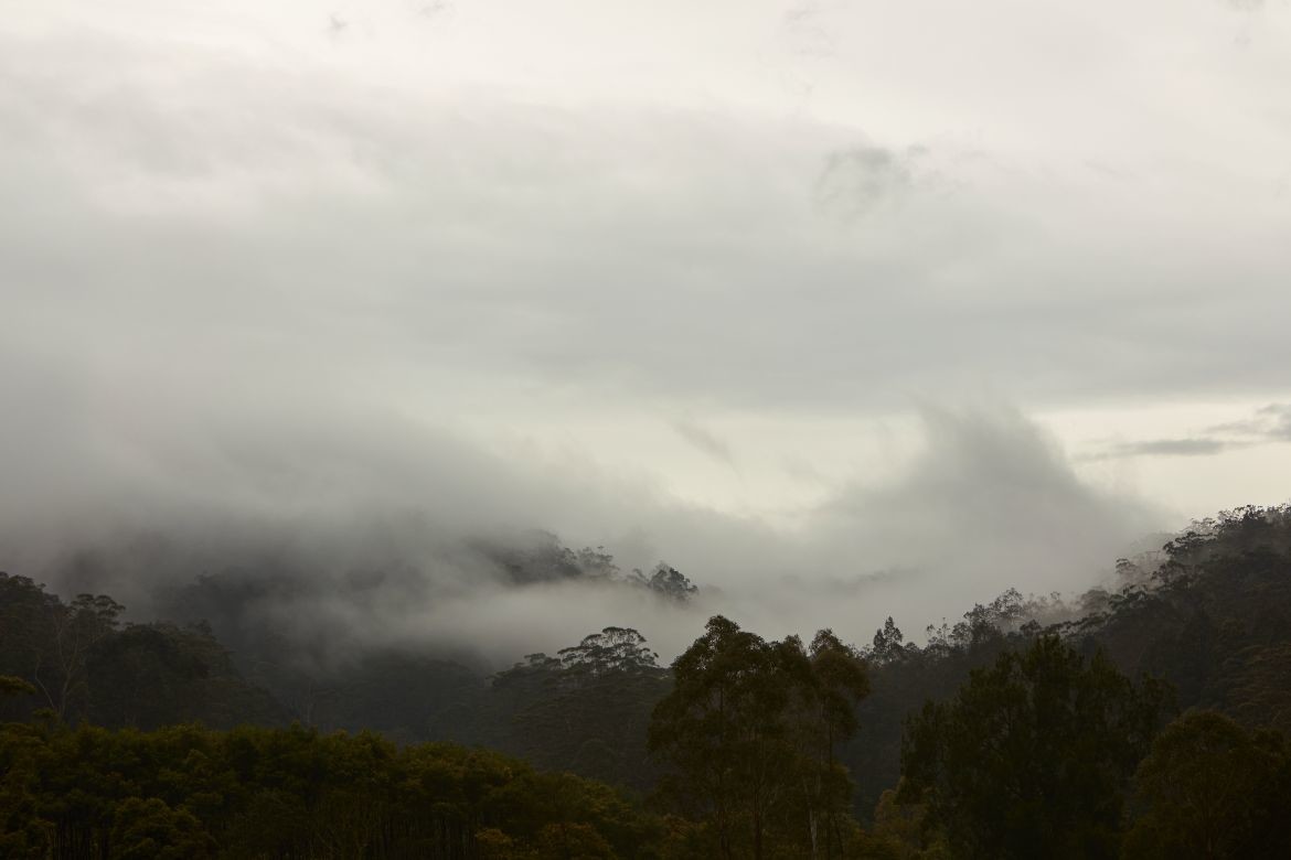 Bundanon x Siteworks: From the deep valley