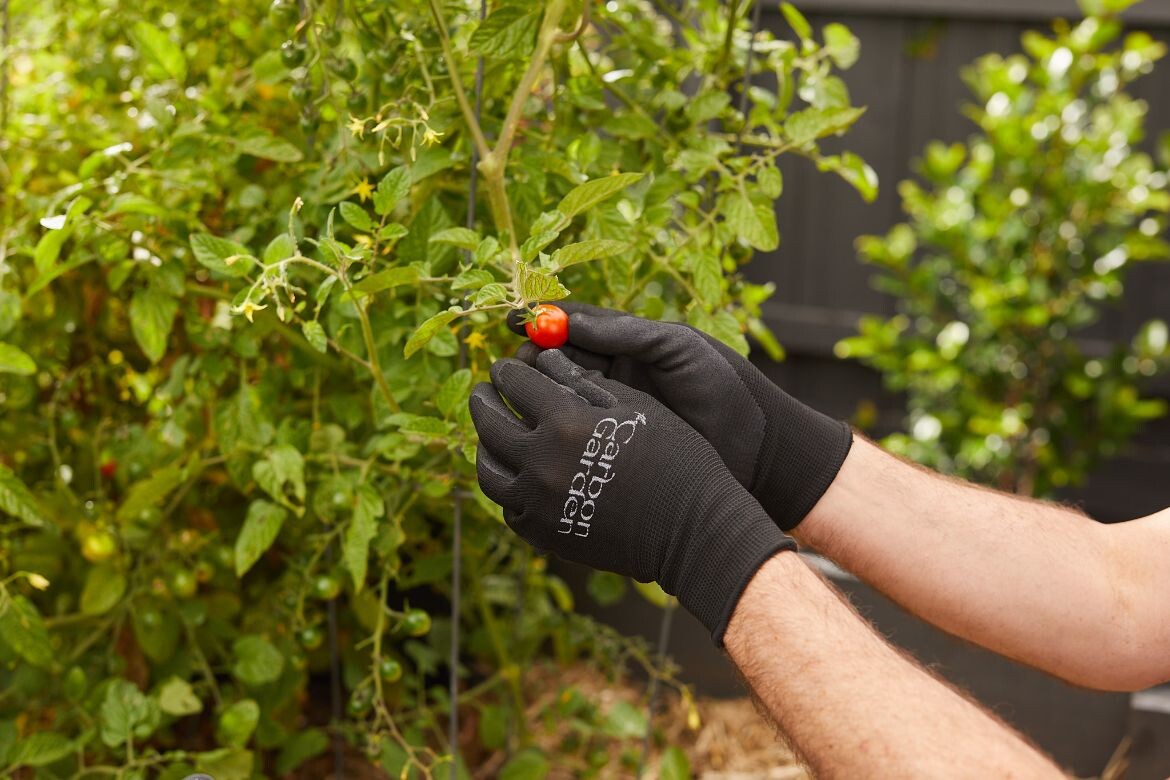 Through science backed research The Carbon Garden can add extra flavour to home-grown vegetables