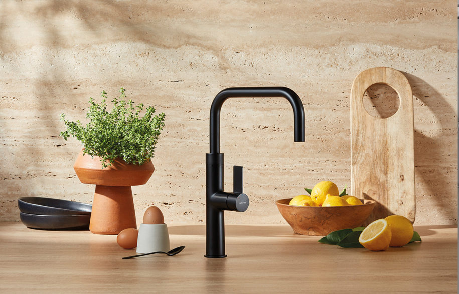 liano nexus kitchen sink mixer