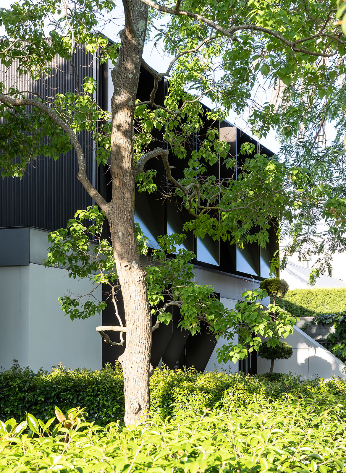 Courtyard House CO-AP Architects CC Ross Honeysett