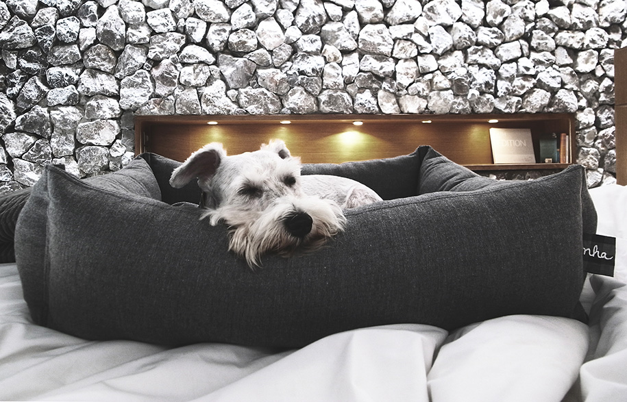 CuddleDogBed-HabitusLiving1