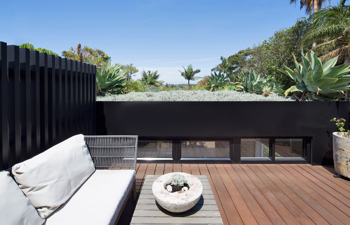 D+K House buckandsimple cc Simon Whitbread rooftop garden