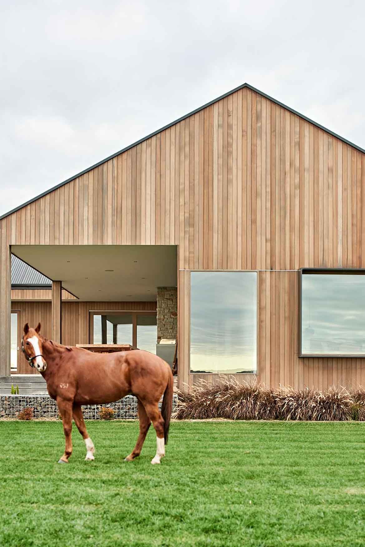 Dan Gayfer Design Ceres House horse