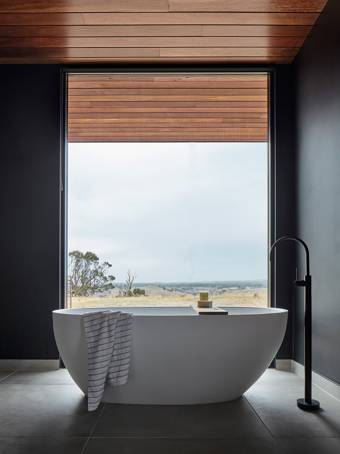 Elemental House Ben Callery Architects cc Jack Lovel bathroom