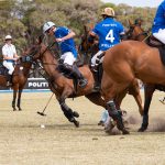 Elica NikolaTesla Switch Cookstop Portsea Polo game