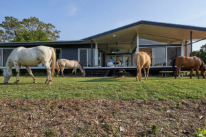 Where Horses And Humans Freely Co-Exist