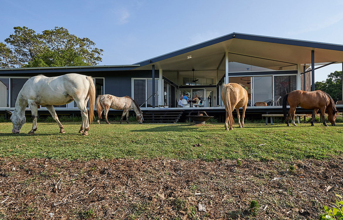 Where Horses And Humans Freely Co-Exist