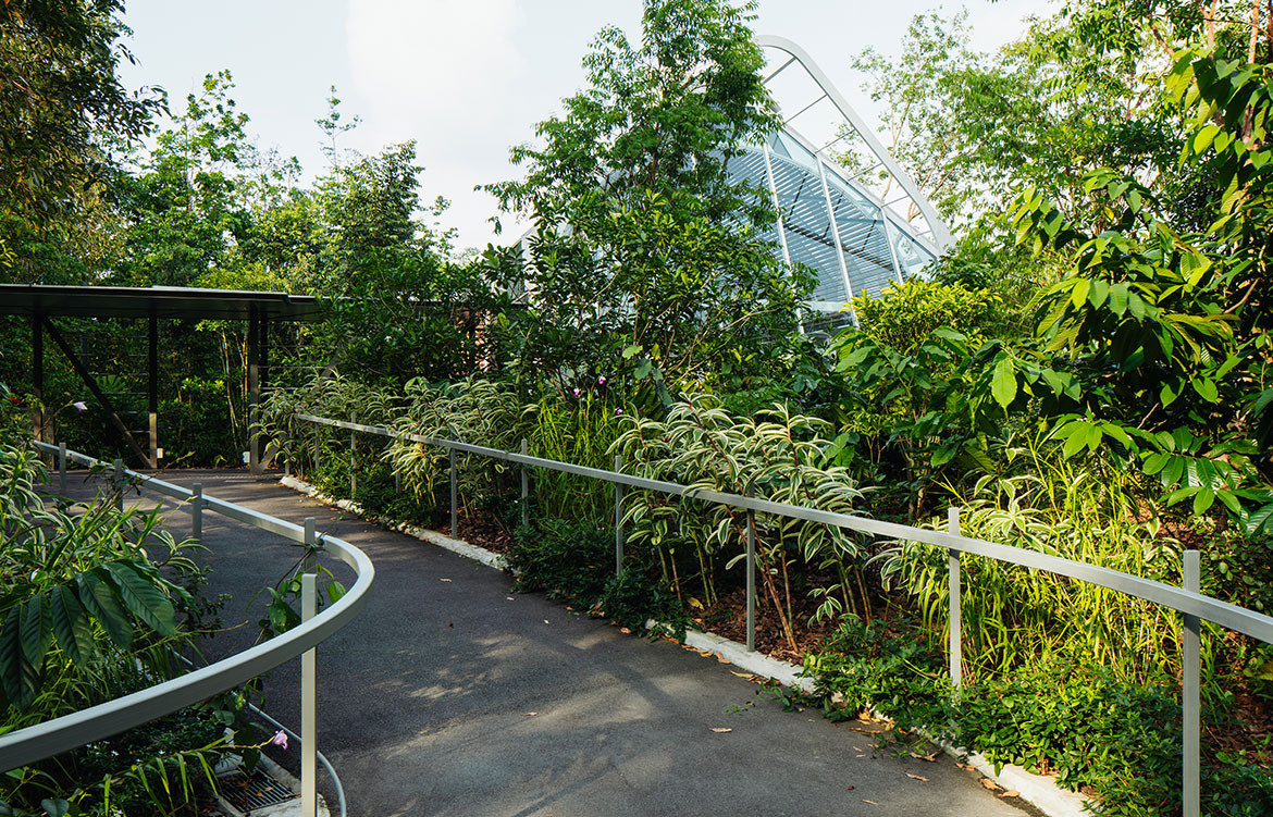 Singapore Botanic Gardens by Genome Architects