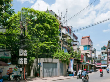 An Explosion of Green: Hanoi Renovation by Vo Trong Nghia
