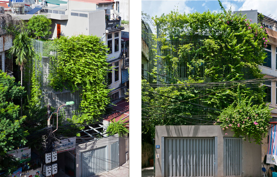 Green Renovation Vo Trong Nghia - Habitus Living