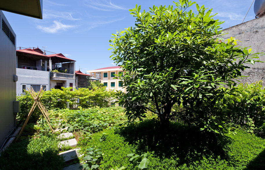 Green Renovation Vo Trong Nghia - Habitus Living