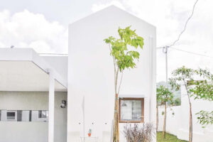 Luwist Spatial Designs a Row of Fun-Sized Affordable Homes