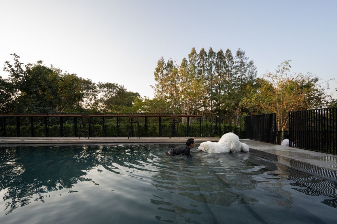 EKAR Architects - A home that teaches dogs tricks