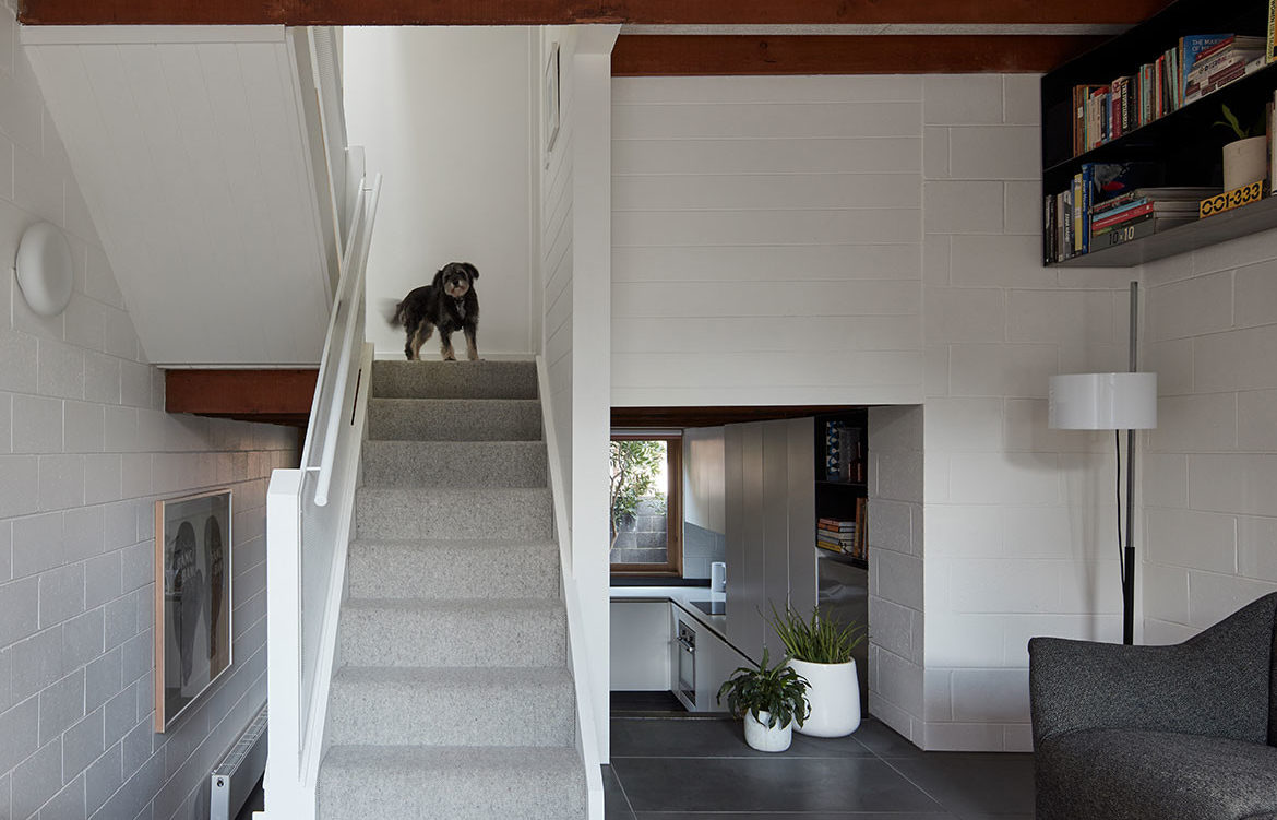 Small footprint living comes to life in this architect’s North Melbourne home