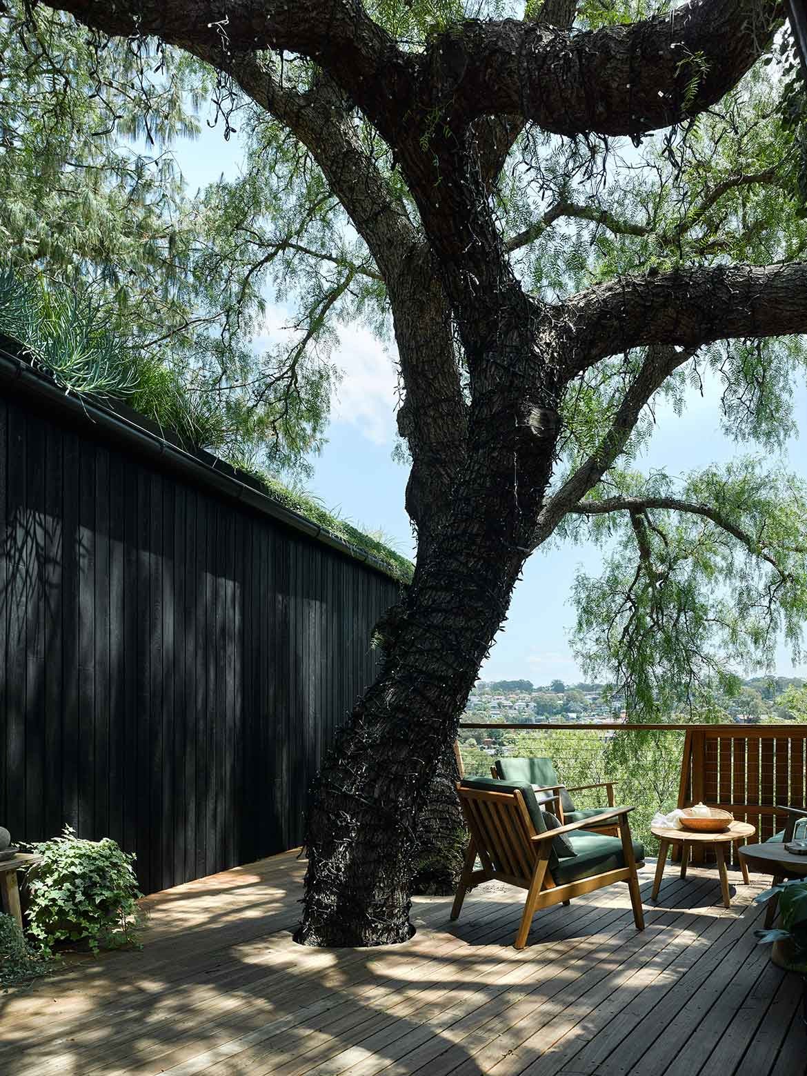 Alexander Syme designs Pepper Tree Passive House