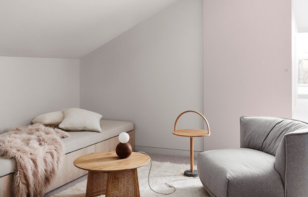 Grounded Colour Palette from Dulux 2020 Colour Forecast