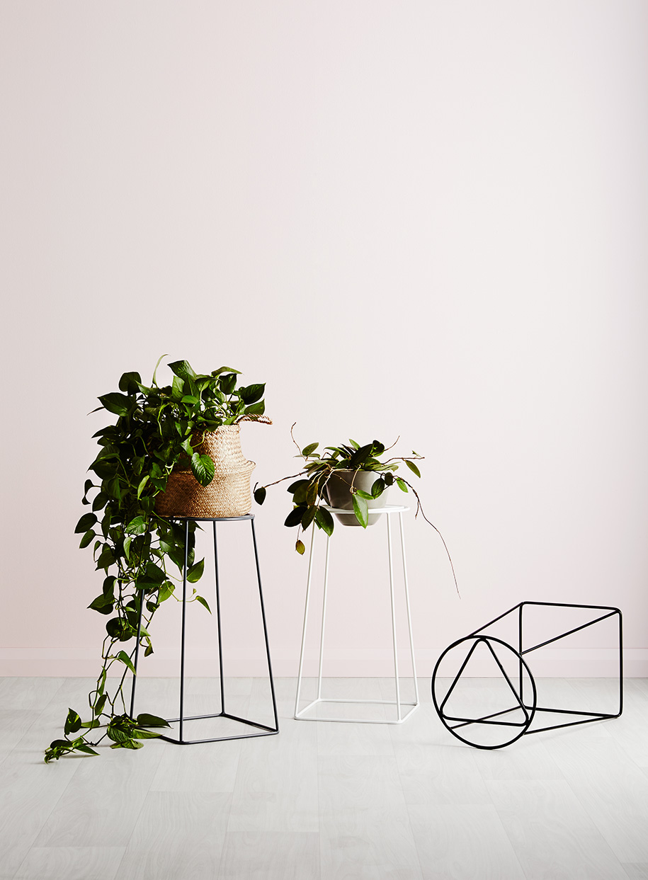 Ivy Muse | Habitus Living