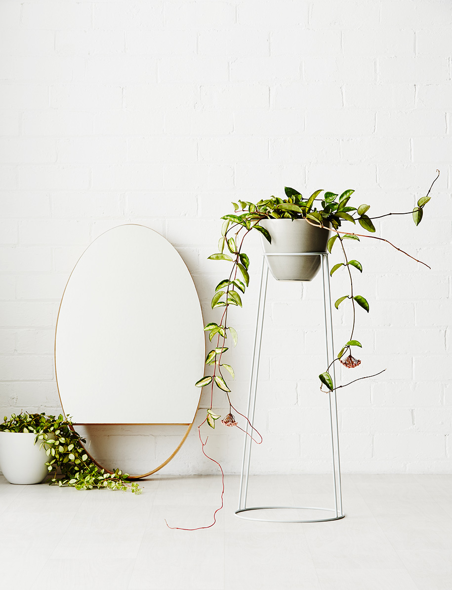 Ivy Muse | Habitus Living