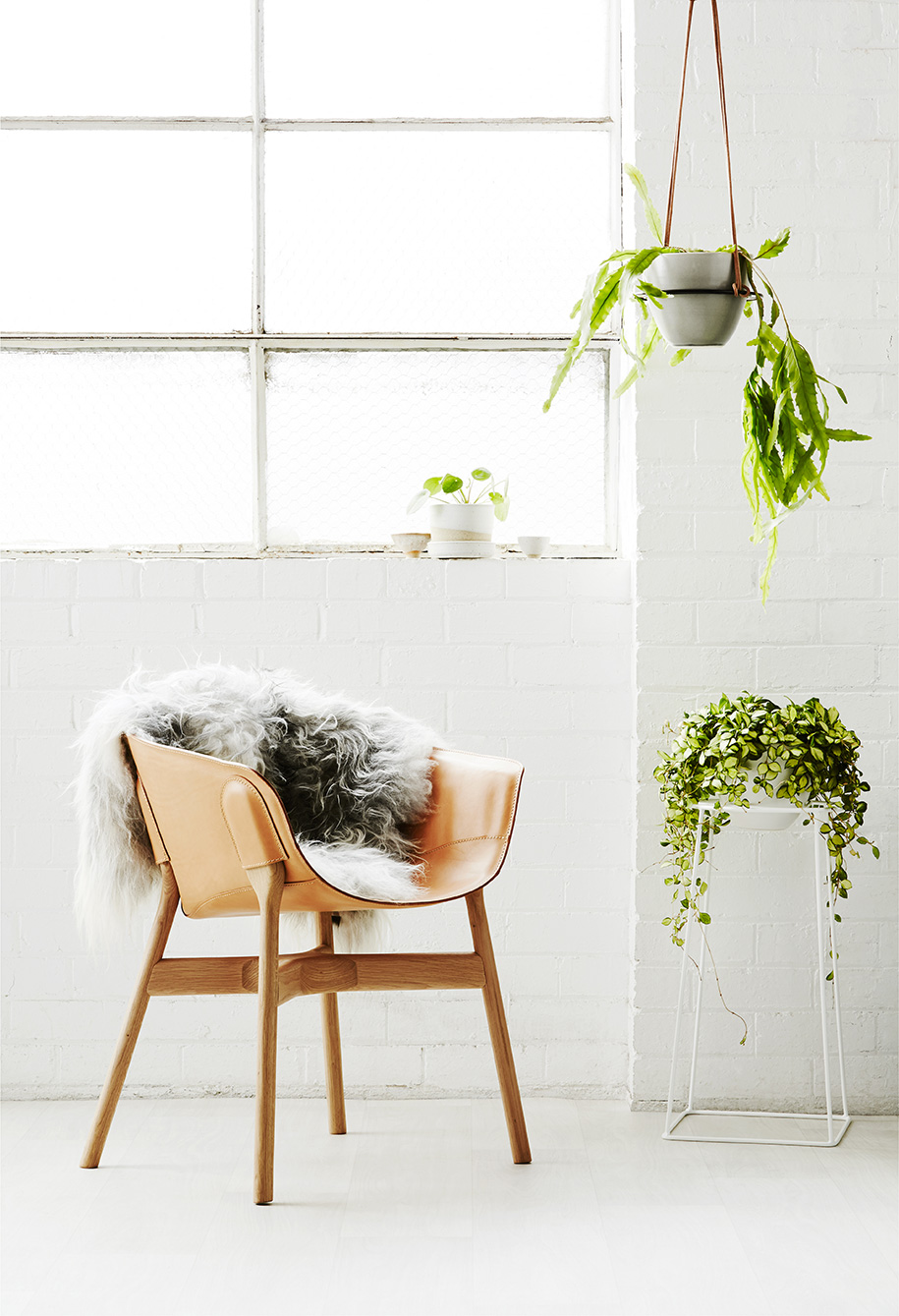 Ivy Muse | Habitus Living