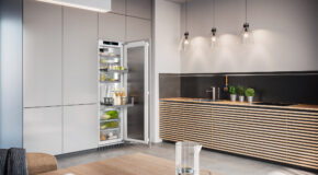 FULLY INTEGRATED FRIDGE WITH OPENSTAGE & BIOFRESH IRBPh 5170
