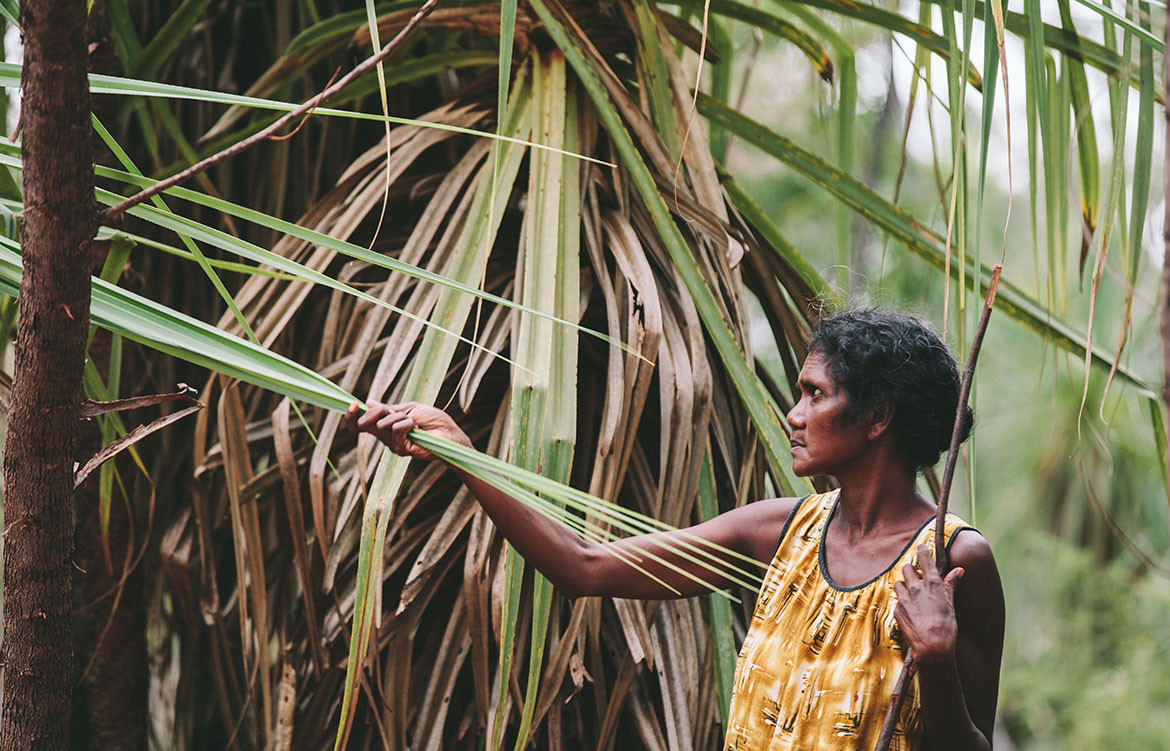 Indigenous Collaborations Koskela Elcho Island Arts sourcing