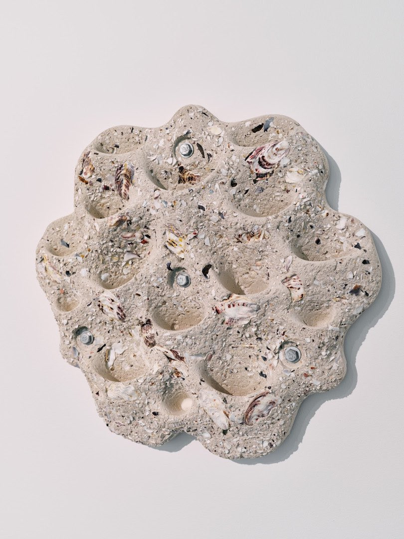 A wall-mounted sculpture with shells embedded in the cement-like material at Sampling the Future